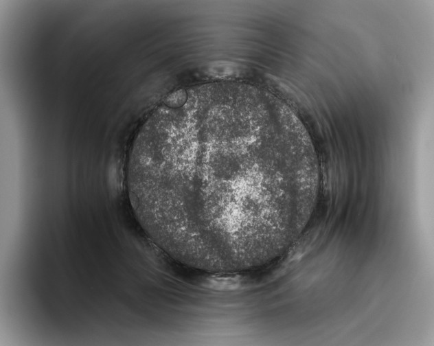 X0000093490606200711091646