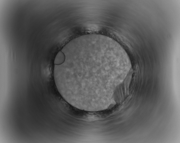 X0000093490608200711091646