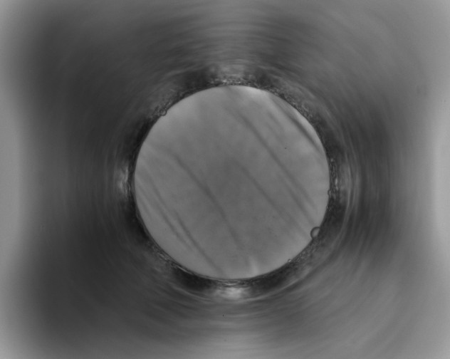 X0000093490610200711091646