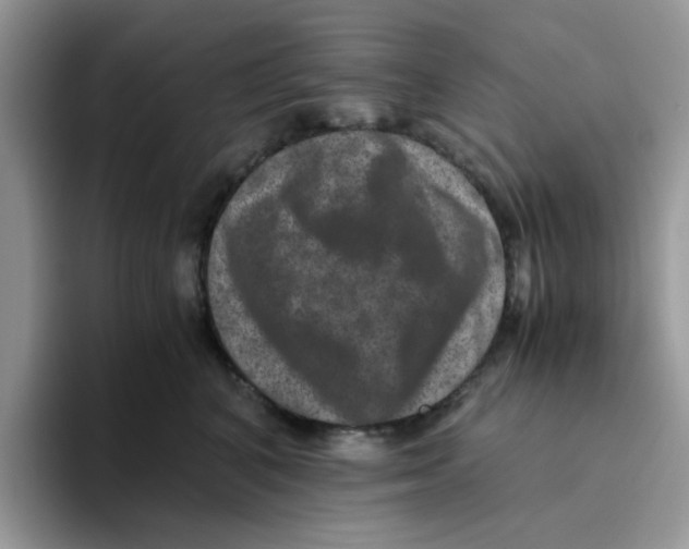 X0000093490616200711091646