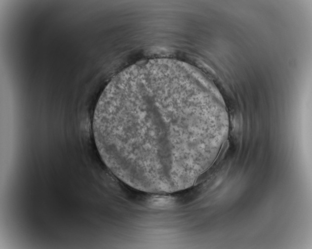 X0000093490617200711091646