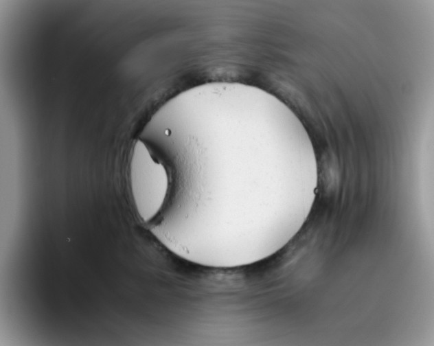 X0000093490619200711091646