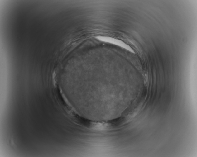 X0000093490621200711091646