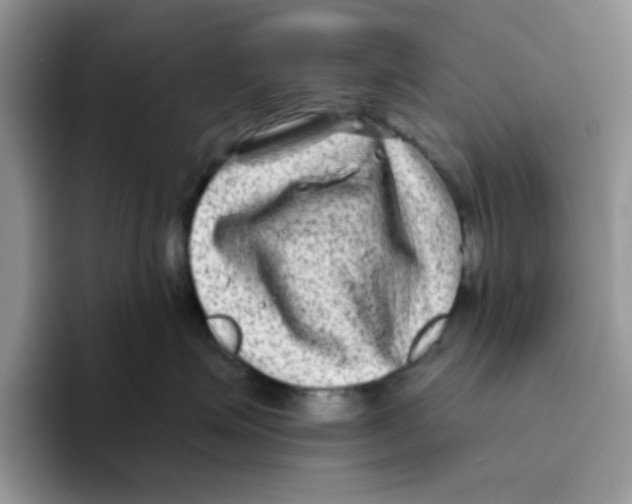 X0000093490623200711091646