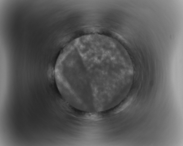 X0000093490624200711091646