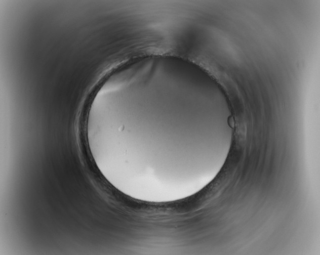 X0000093490626200711091645