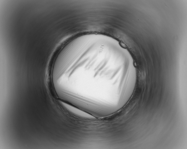 X0000093490628200711091645