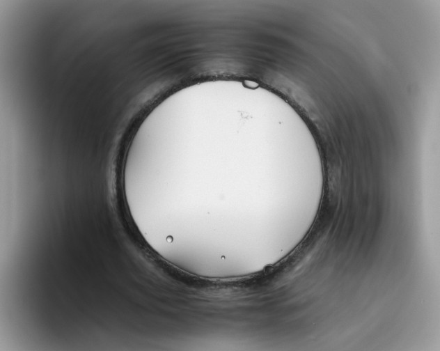 X0000093490629200711091645