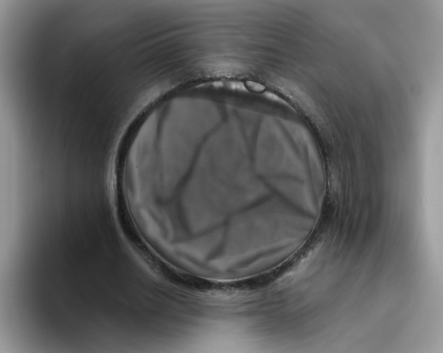 X0000093490630200711091645