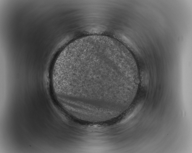 X0000093490634200711091645