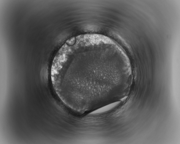 X0000093490637200711091645