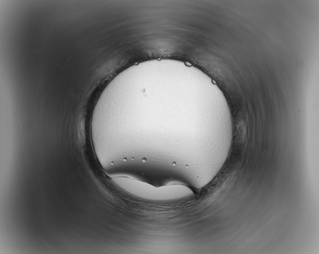 X0000093490638200711091645