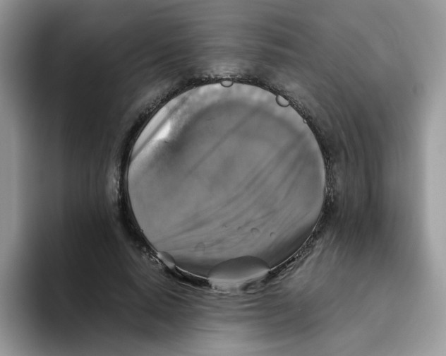 X0000093490640200711091645