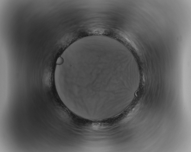 X0000093490641200711091645