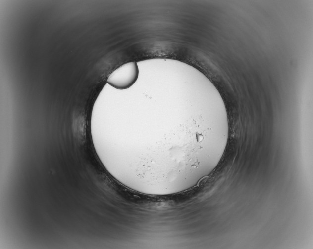 X0000093490646200711091645