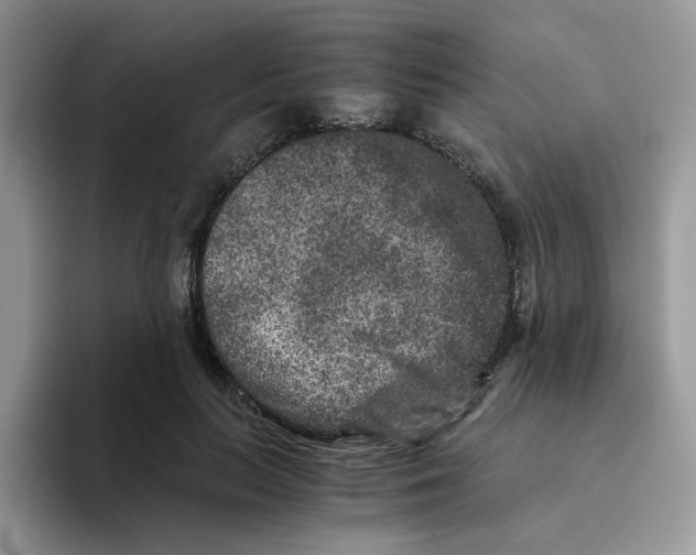 X0000093490647200711091645