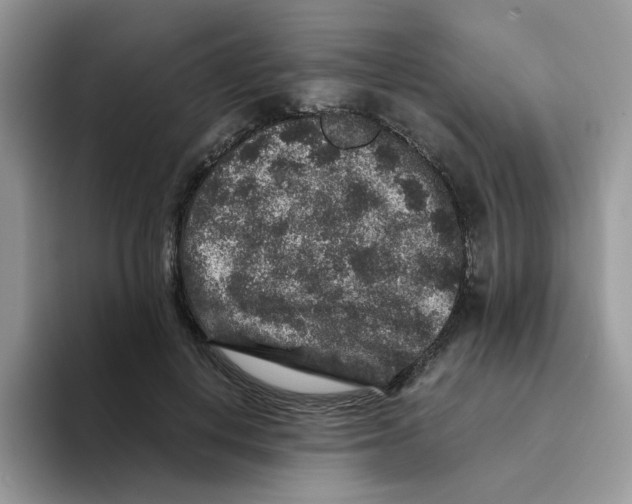 X0000093490648200711091645