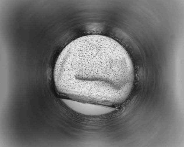 X0000093490649200711091645