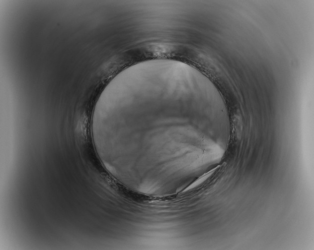 X0000093490650200711091645