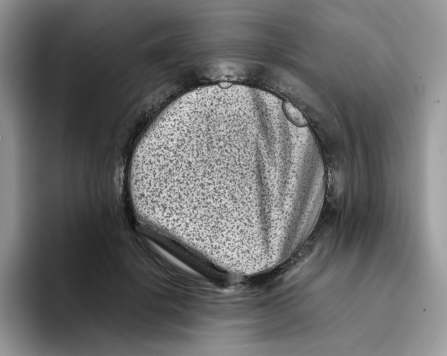 X0000093490652200711091645