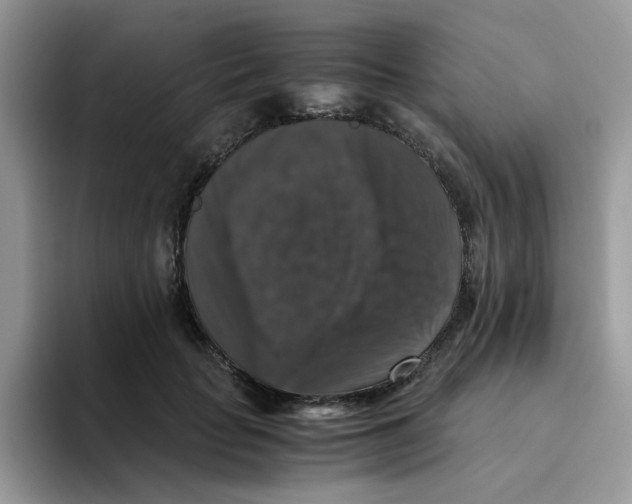 X0000093490653200711091645