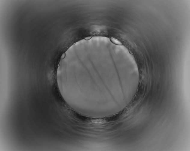 X0000093490659200711091645