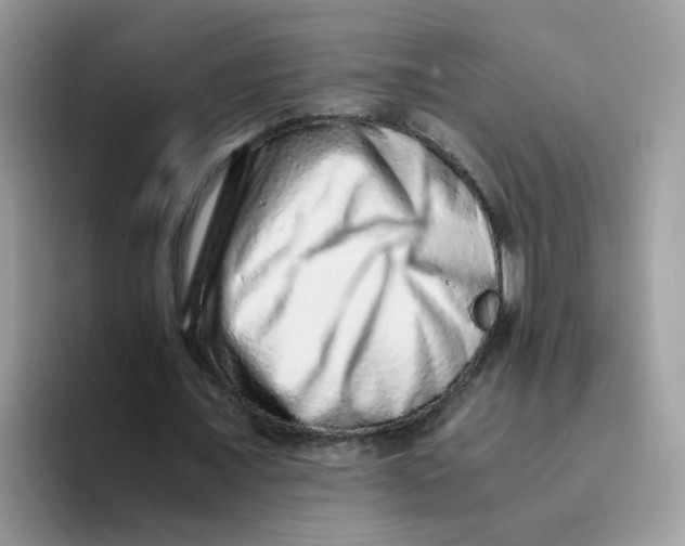 X0000093490675200711091645