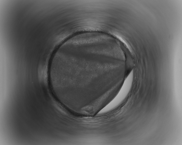 X0000093490677200711091645