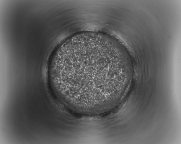 X0000093490679200711091645