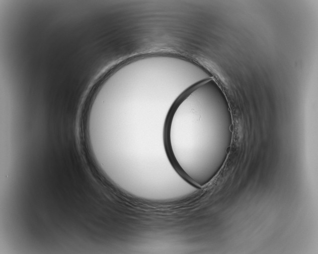 X0000093490680200711091645