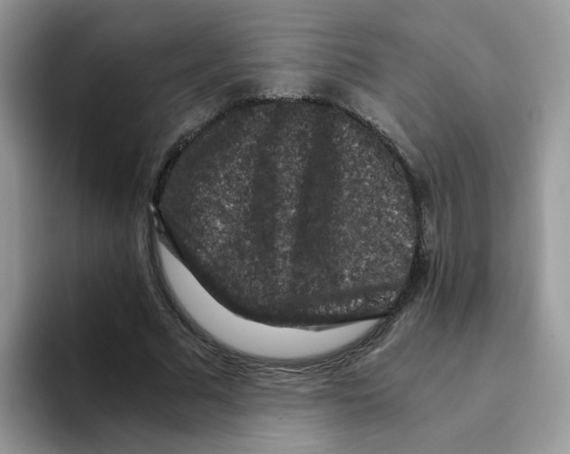 X0000093490681200711091645