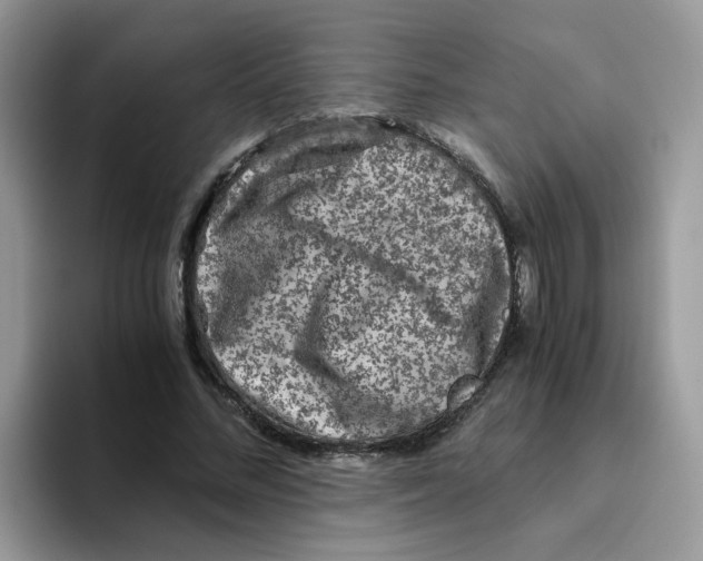 X0000093490684200711091645