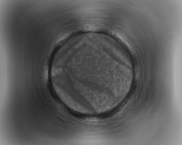 X0000093490685200711091645