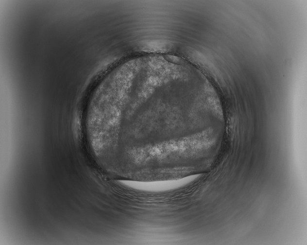 X0000093490688200711091645