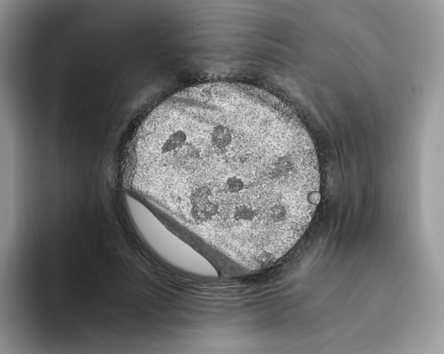 X0000093490691200711091645