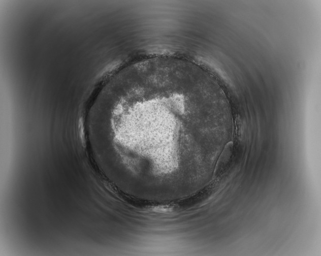 X0000093490692200711091645