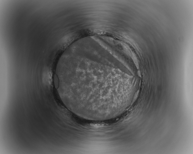 X0000093490693200711091645