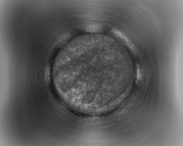 X0000093490696200711091645