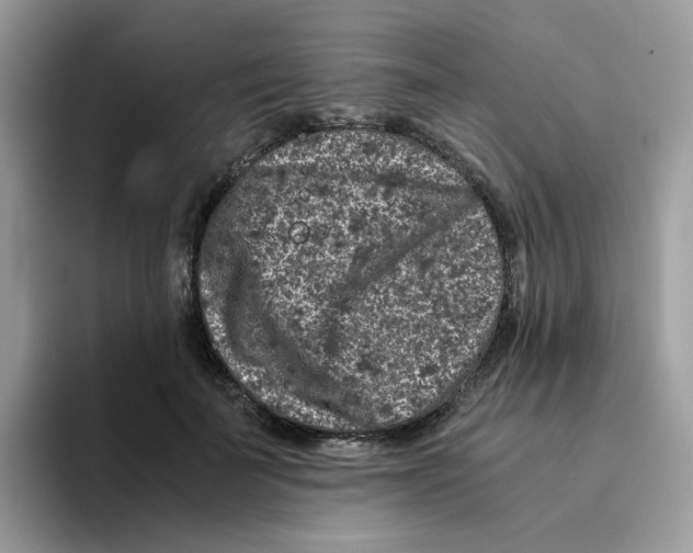 X0000093490699200711091645