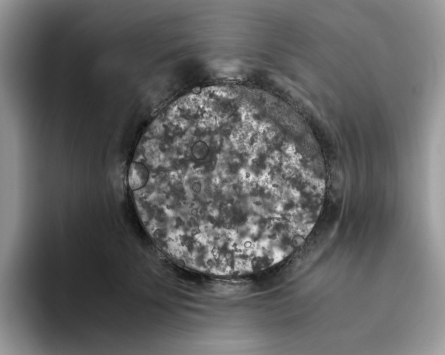 X0000093490707200711091645