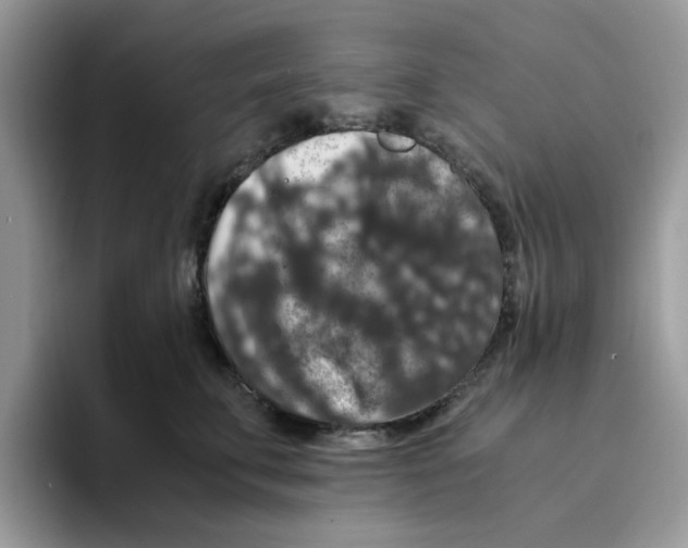 X0000093490711200711091645