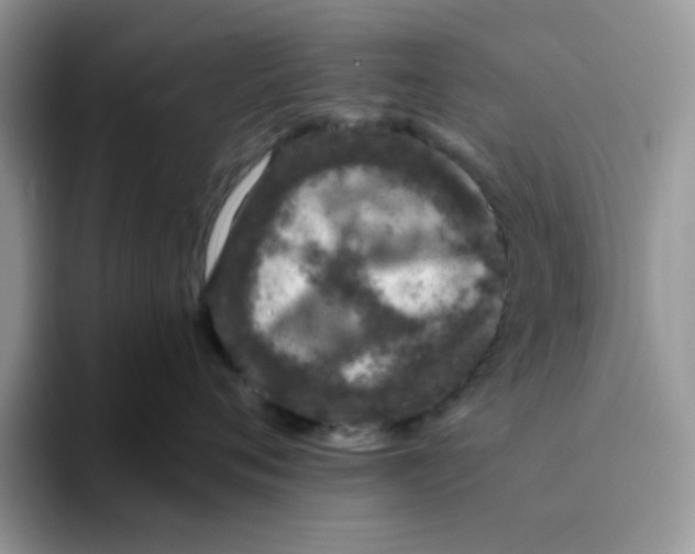 X0000093490720200711091645