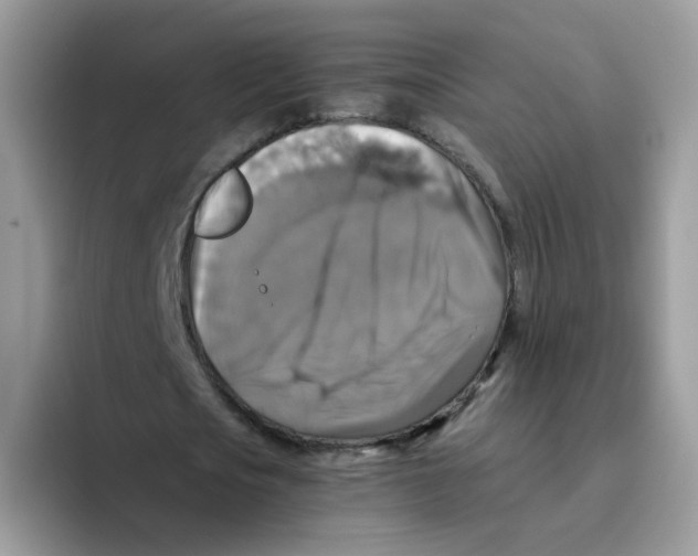 X0000093490721200711091644