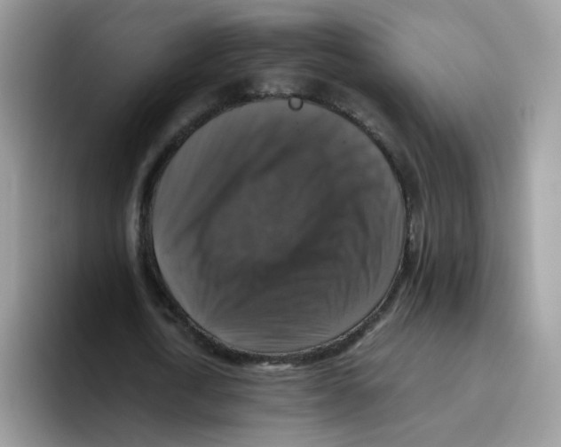 X0000093490722200711091644