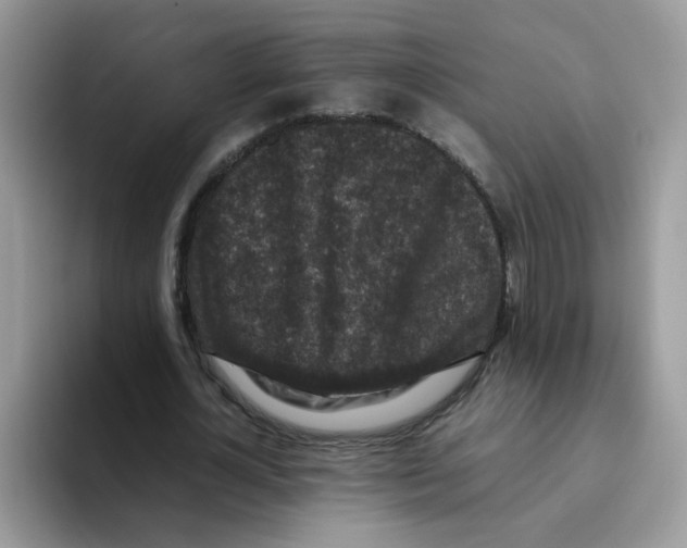 X0000093490724200711091644