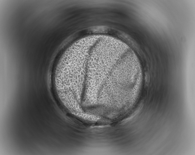 X0000093490725200711091644