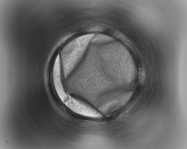 X0000093490726200711091644