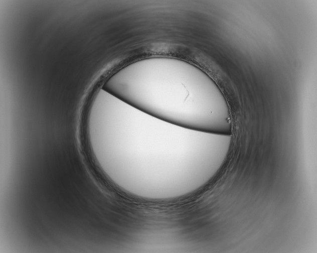 X0000093490728200711091644