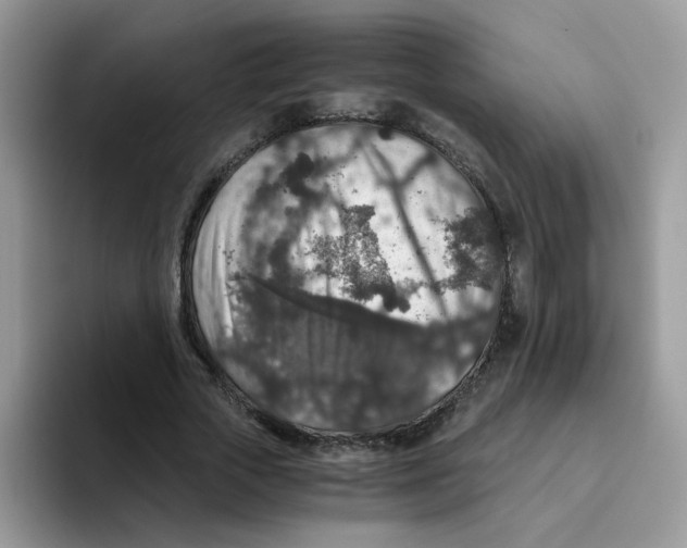 X0000093490729200711091644