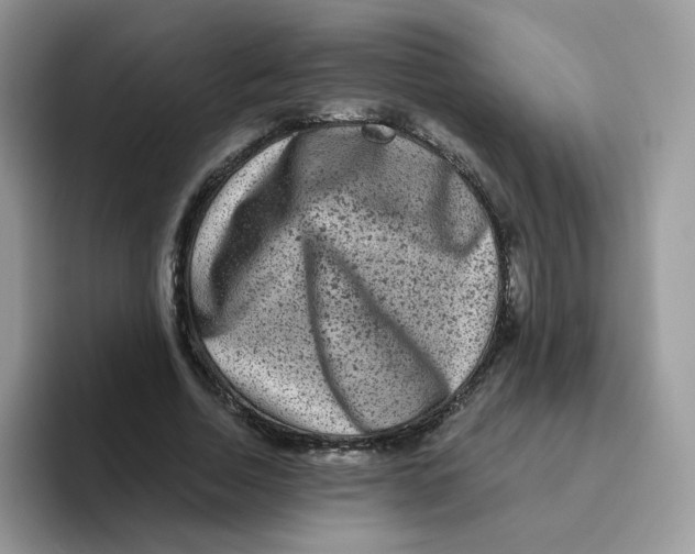 X0000093490730200711091644